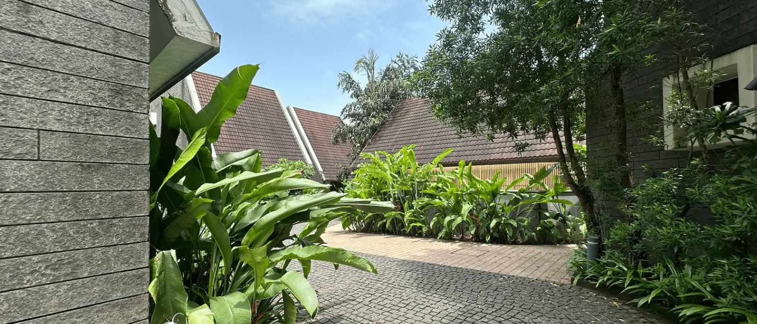 Serene courtyard with lush green plants