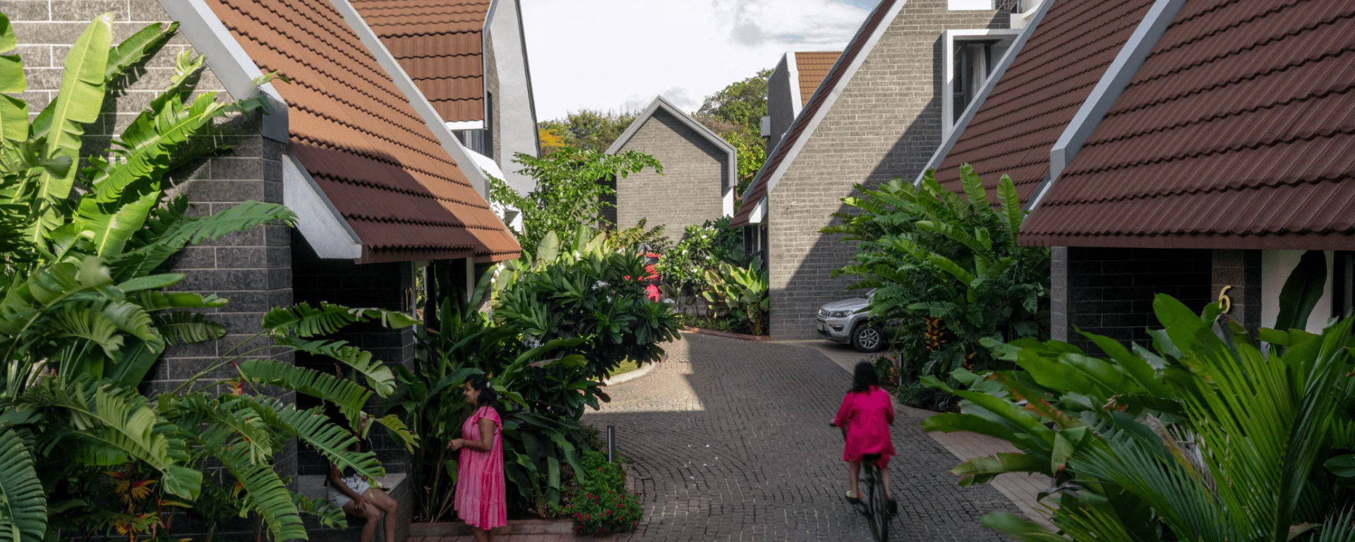 Serene lane lined with lush greenery